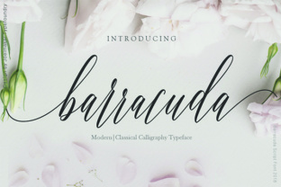 Barracuda Script: A Modern Typeface for Makers
