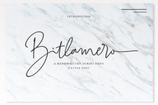 Bitlamero Script: A Signature Typeface for Branding