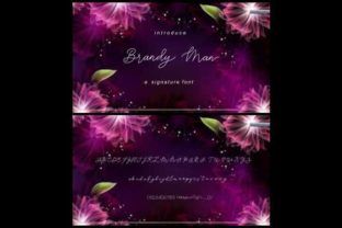 Brandy Jelly Duo Font for Elegant Web Design