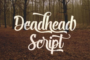 Deadhead Script Typeface for Bold Campaigns