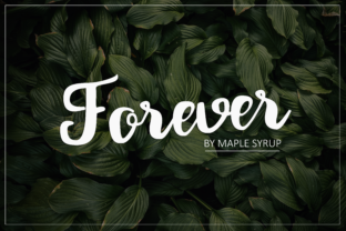 Forever Script Typeface for Romantic Campaigns